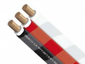 CABLE  N2XOH 3-1x10mm 0,6/1 kV 
